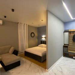 1-комнатные апартаменты улучшенные Апартаменты Green Palace 29