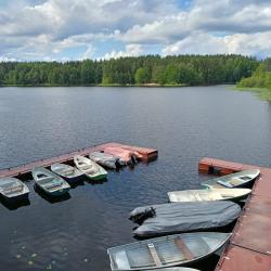 Большой коттедж с сауной