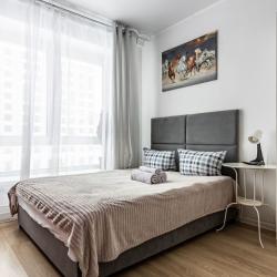 Фото Апартаменты на Рябиновой улице 3