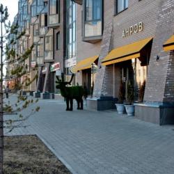 Фото Апартаменты на набережной Северной Двины