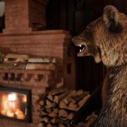 Фото Отель Берлога