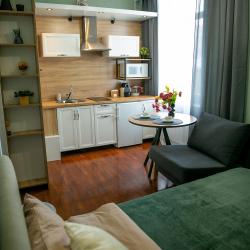 1-комнатные апартаменты студия Ленина 18