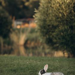 Фото Отель Кемпинг «Завидово»