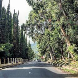 Фото Отель База отдыха Жоэквара