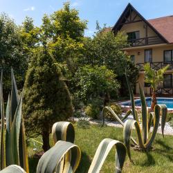 Фото Отель Villa Provence (Вилла Прованс)