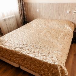 Фото Отель Бристоль