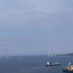 Фото Уютные апартаменты на улице Крыгина 40