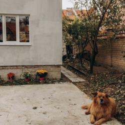 Фото Апартаменты на улице Садовая 5