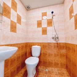 Фото Отель Гостевой дом Фиджи