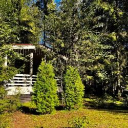 Лесной домик