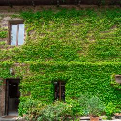 Фото Отель Tiflis (Тифлис)