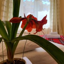 Фото Апартаменты на проспекте Ленина 209