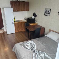 1-комнатные апартаменты студия