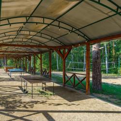 Фото Отель Оленьи пруды