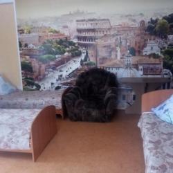 Фото Отель Алина