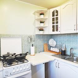 Фото Отель Просторная квартира рядом с Ижорским заводом