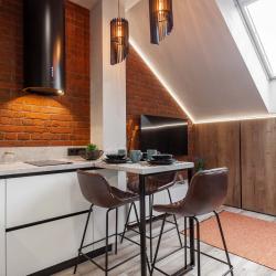 1-комнатные апартаменты студия (мансарда)