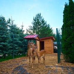 Фото Отель Fish Point Family Resort (Фиш Поинт)