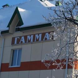 Фото Отель Гамма