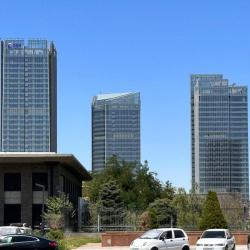 Фото Отель T-City Presidential Hotel (Т-Сити Президентиал)