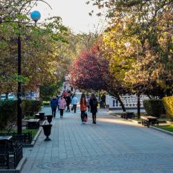 Фото Отель RostovDom (РостовДом) на Горького