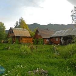 Фото Отель Алтайна