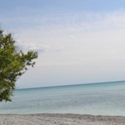 Фото Отель Аммонит