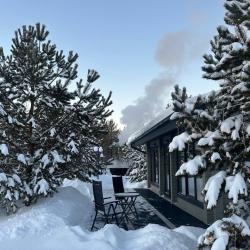 Фото Отель Лесная Симфония