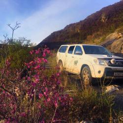 Фото Отель Золото Алтая