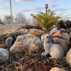 Фото Отель Экоферма Егорово поместье