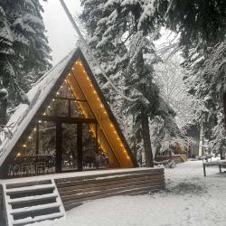 Коттедж стандарт №3