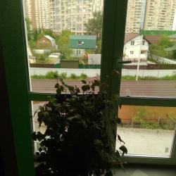 Кровать в 6-местном общем мужском номере