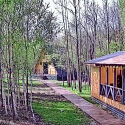 Фото Отель Загорские Дубки