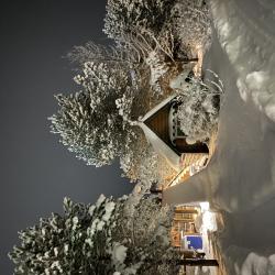 Фото Отель Свирская