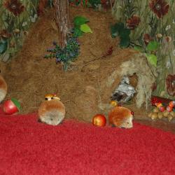 Фото Отель Вега