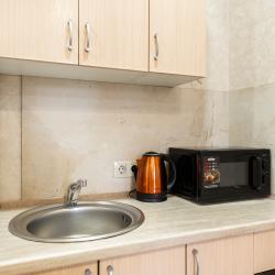 2-местные 1-комнатные апартаменты студия Анны Ахматовой 11к1