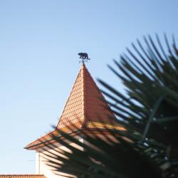 Фото Отель Большая Медведица