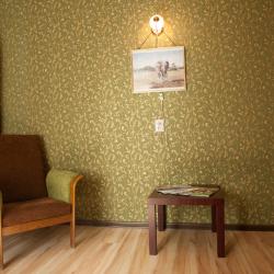 Фото Отель Old Flat (Олд Флэт) на улице 7-ая Советская 27