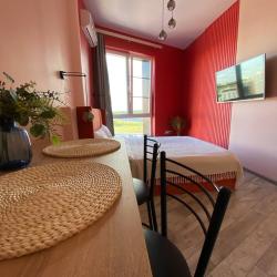 1-комнатные апартаменты стандарт Terracotta