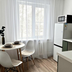 1-комнатные апартаменты люкс (мансарда)