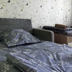 Фото Апартаменты на улице Дружбы 7