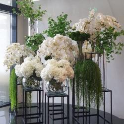 2-комнатные апартаменты стандарт с 1 двуспальной кроватью FLORA