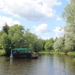 Фото Парк-Отель Басовское