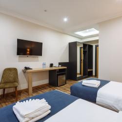 Номер люкс с 2 односпальными кроватями