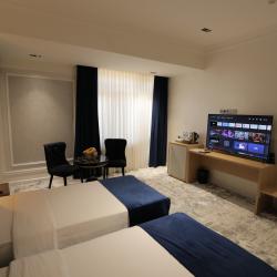 Номер делюкс с 2 односпальными кроватями