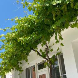 Фото Отель Гостевой дом Слава