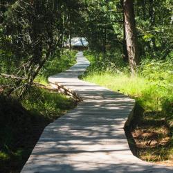 Фото Отель Ecolodge Zen (Эколодж Зен)