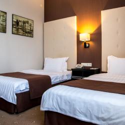 Номер делюкс с 2 односпальными кроватями