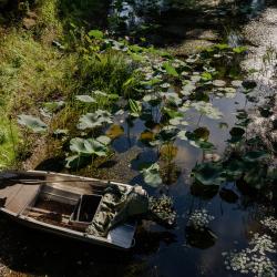 Фото Отель Золотой Лотос