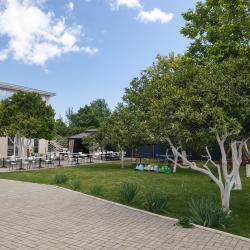 Фото Отель Family Resort Bambora (Фэмили Резорт Бамбора)